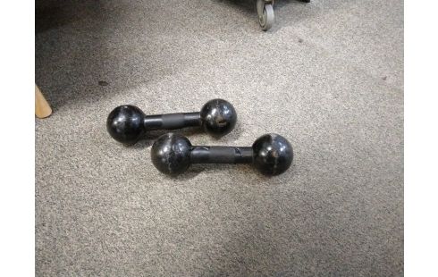 HALTERES LA PAIRE