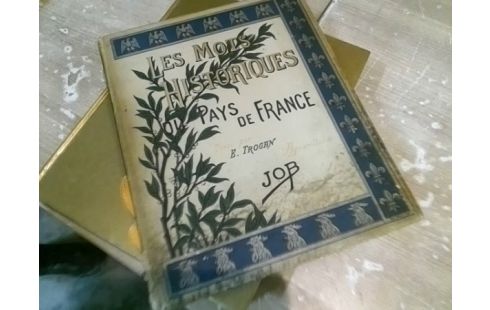 LIVRE LES MOTS HISTORIQUES