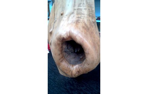 KANDELAAR BOOMSTRONK