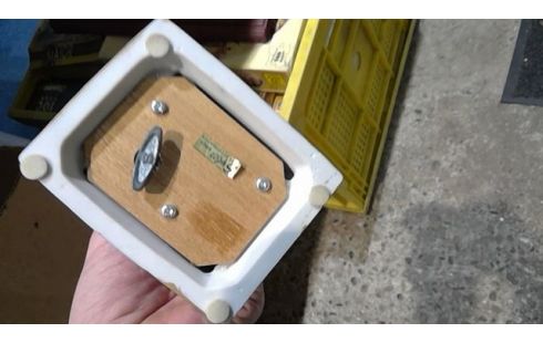 BUSTE SCHUBERT MUSICAL