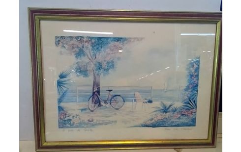 CADRE VELO DE CECILE