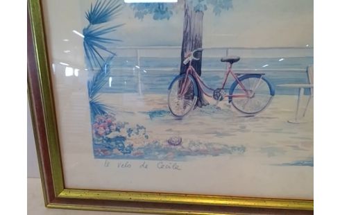 CADRE VELO DE CECILE