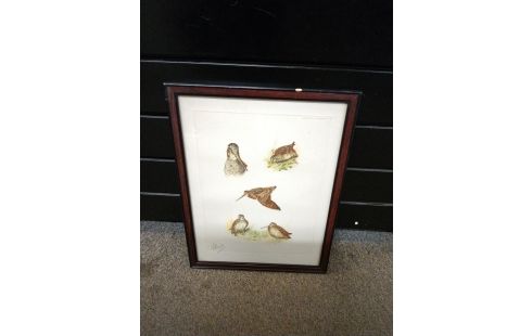 LITHOGRAPHIE BECASSES SIGNE RIAB