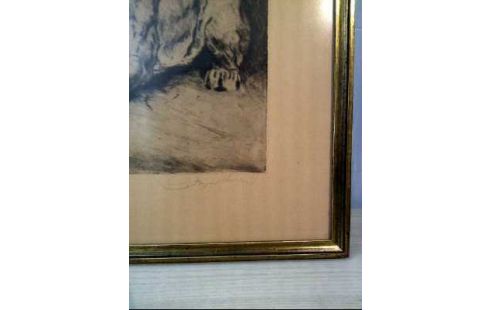 RADIERUNG I.R. LÖWEN <M. EBERHARDT>