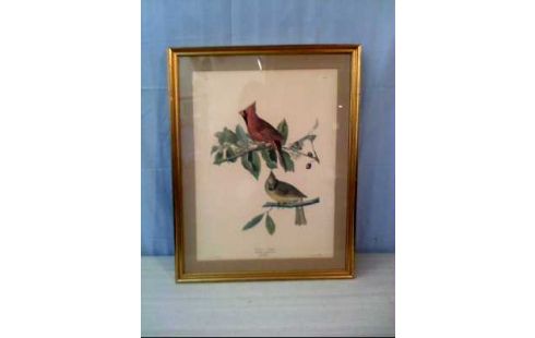 KUNSTDRUCK I.R. VÖGEL <R. HAVELL> VERSCH.