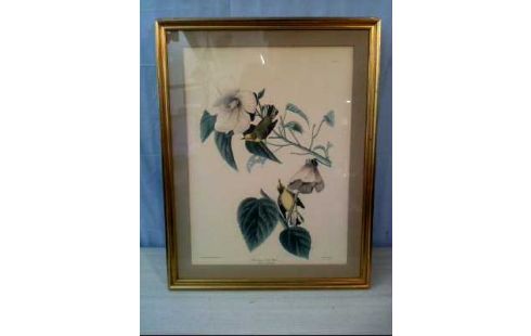 KUNSTDRUCK I.R. VÖGEL <R. HAVELL> VERSCH.