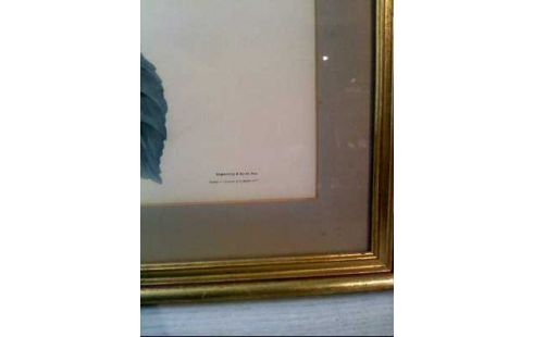 KUNSTDRUCK I.R. VÖGEL <R. HAVELL> VERSCH.