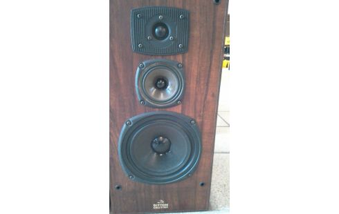 PAIRE D' ENCEINTES 3  DITTON  CELESTION