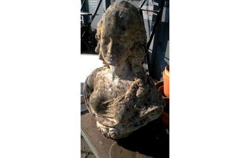 ANIMAL DECO JARDIN, , BUSTE FEMME