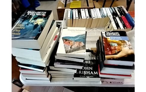 ROMAN POLAR,THRILLER,HISTORIQUE....