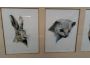 Troc - Image Produit