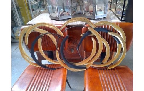 DECORATIE RINGEN GOUD EN ZWART