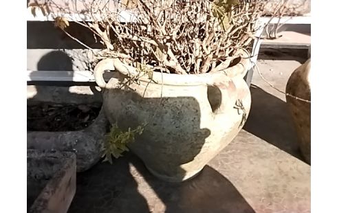 JARRE + PLANTE