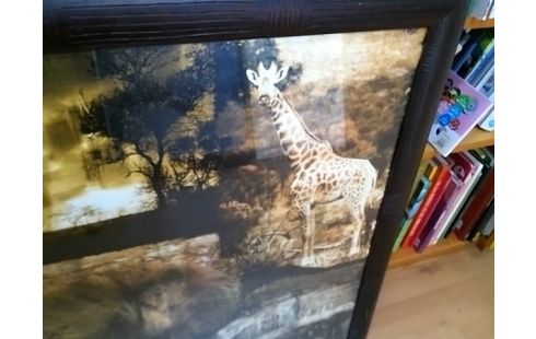 CADRE ELEPHANT ET GIRAFE