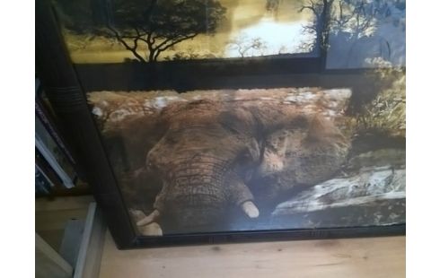 CADRE ELEPHANT ET GIRAFE