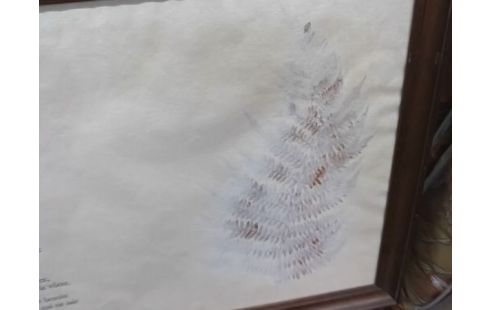 CADRE LE DON DE SOURIRE