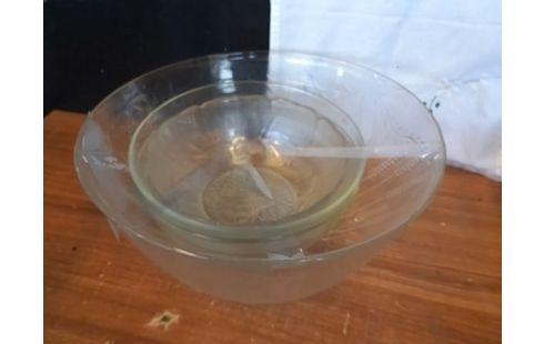 LOT DE SALADIERS VERRE