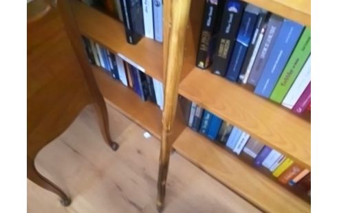 BATON DE MARCHE BOIS