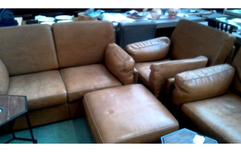 SALÓN PARDO BÚFALO CUERO
