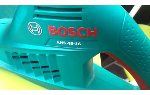 HAAGSCHAAR ELEKTRISCH BOSCH