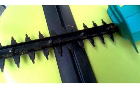 HAAGSCHAAR ELEKTRISCH BOSCH