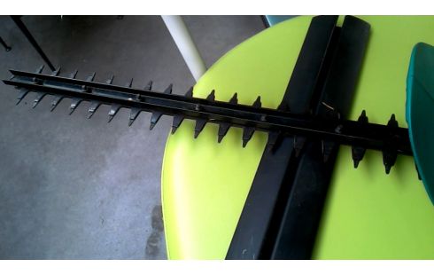 HAAGSCHAAR ELEKTRISCH BOSCH