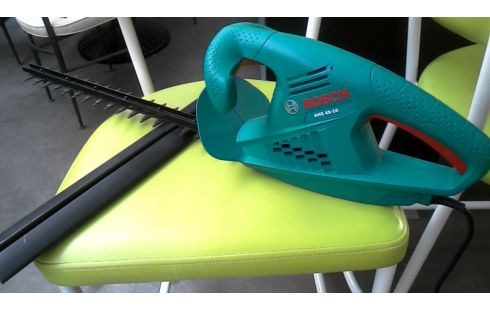 HAAGSCHAAR ELEKTRISCH BOSCH