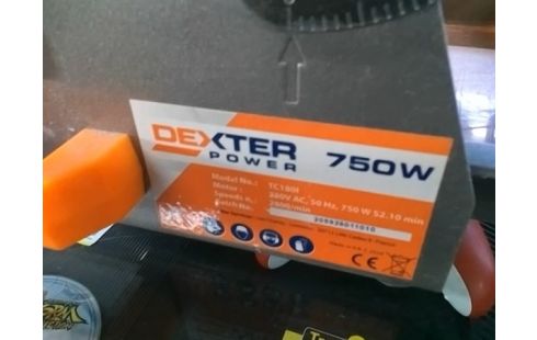 COUPE CARREAU DEXTER 750W (AVEC ACCESSOIRES)