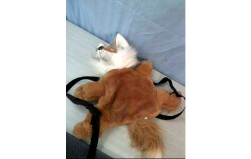 KUSCHELTIERRUCKSACK FUCHS SCHWÄB. HALL