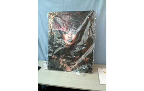 BILD BELLADONNA SCHWARZWALD DAME