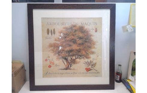 KADER MET PRENT  BOOM PPST.