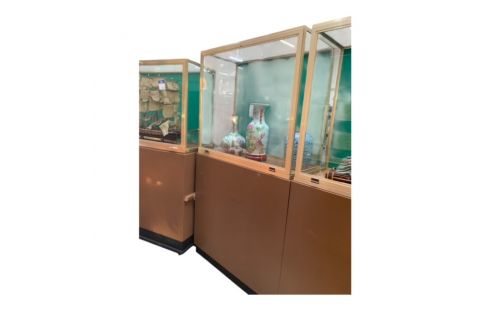VITRINEKAST MUSEUM 205X110X50