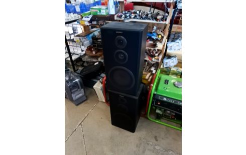 ENCEINTE SONY LA PAIRE + ACC RSV