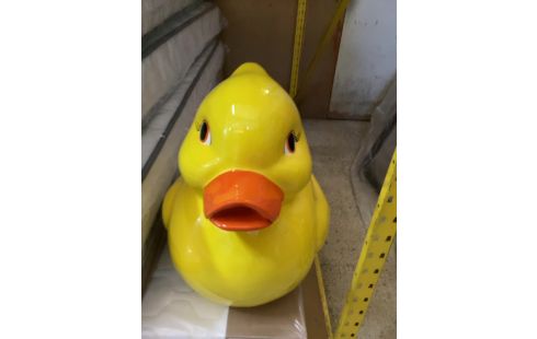CANARD JAUNE T01