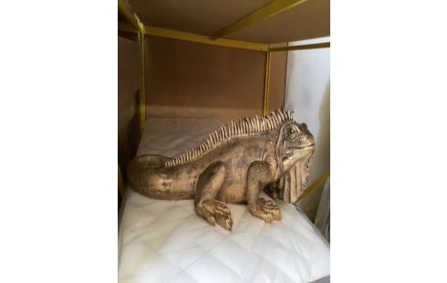 IGUANE DORE 1M