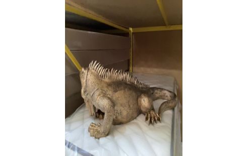 IGUANE DORE 1M