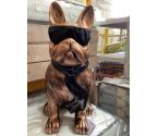 BULL DOG LUNETTES 80CM