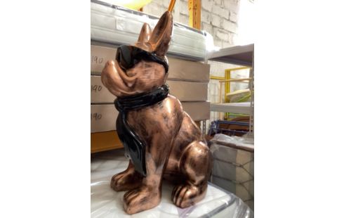 BULL DOG LUNETTES 80CM