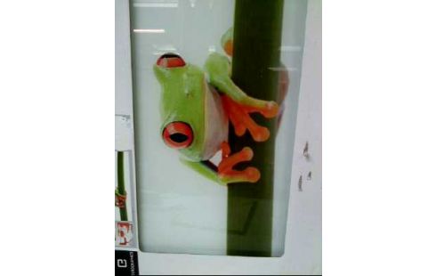 GLAS, , PAD