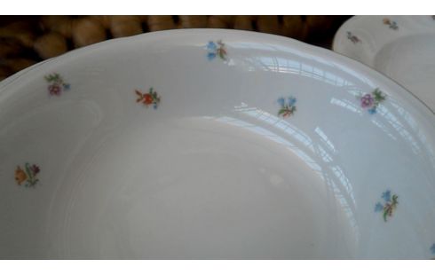SERVICIO BLANCA FLOR