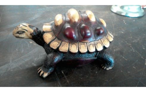 TORTUE BOITE