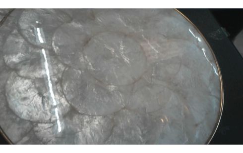 LOT  D' ASSIETTES DE  PRESENTATION NACRE