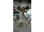 Troc - Image Produit