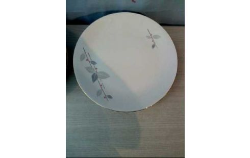 TELLER 12TLG. SCHERZER FLORAL MIT GOLDRAND
