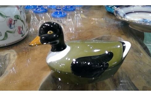CANARD