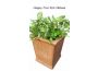 Troc - Image Produit