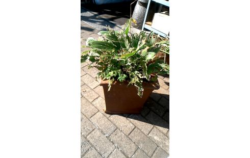 BAC A FLEURS TERRA COTTA CARRE