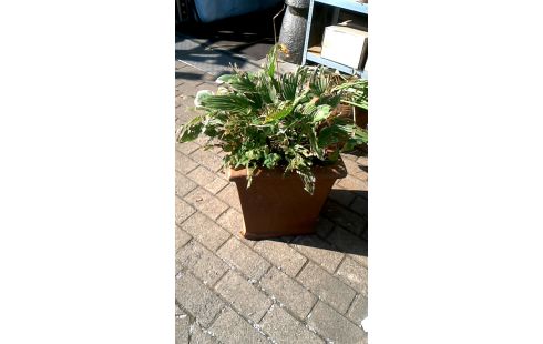 BAC A FLEURS TERRA COTTA CARRE