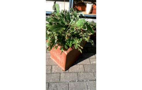 BAC A FLEURS TERRA COTTA CARRE
