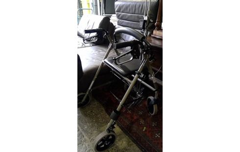 WANDELSTOK HENGEL
